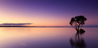 Jak spuścić wodę w toalecie w samolocie?