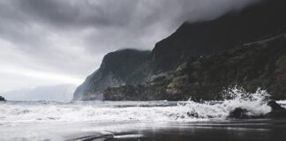 Czy na Maderze są pająki?