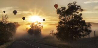 Jaki rogal do samolotu?
