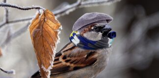 Jak najtaniej ogrzać mieszkanie na prąd?