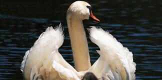 Jak sprawdzić czy fotelik nie jest po wypadku? Jak sprawdzić czy fotelik nie jest po wypadku?