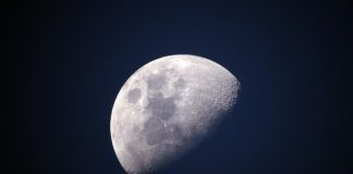 Jaki jest najgrubszy polar?