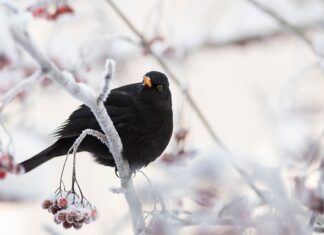 Na czym na czym polega działanie prysznica solarnego?