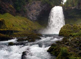 Jak powinno się schylać?