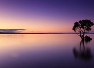 Co nie przepuszcza wody?