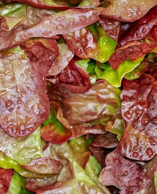 Jaką sałatkę zrobić na niedzielę?