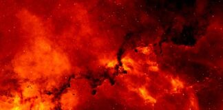 Co wypłukuje wapń z organizmu? Co wypłukuje wapń z organizmu?