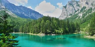 Jaka jest najpiękniejsza ryba na świecie?