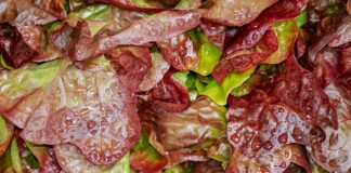 Jak robi się sałatkę grecką?