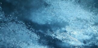 Jak długo świeża ryba może być w lodówce?